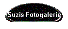Suzis Fotogalerie