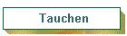 Tauchen